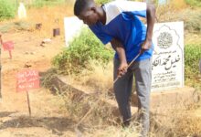 IMG 20251024 WA01171