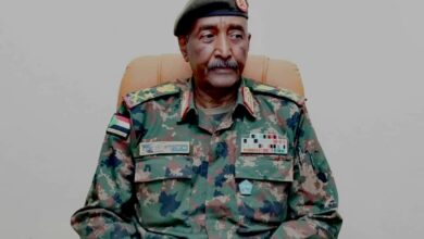 IMG ٢٠٢٥١١٢٤ ١٣٣٩١٢