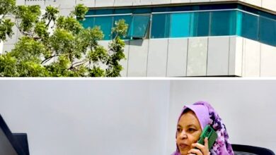 Screenshot ٢٠٢٥١١١٨ ١٢٤٧٠٣