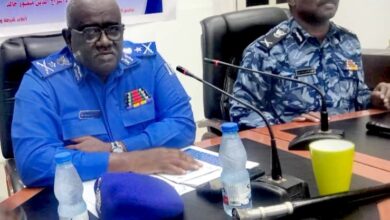 IMG ٢٠٢٥١٢٠٣ ٢٢٢٥٠٦