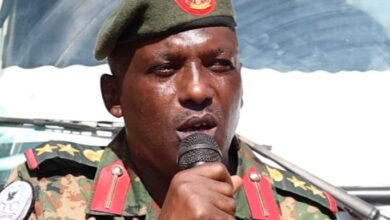 IMG ٢٠٢٥١٢٠٣ ٢٠٣١٠٥