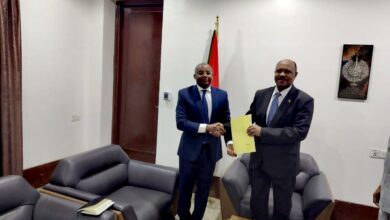 IMG ٢٠٢٥١٢٠٧ ٢٠٥٣٣٦