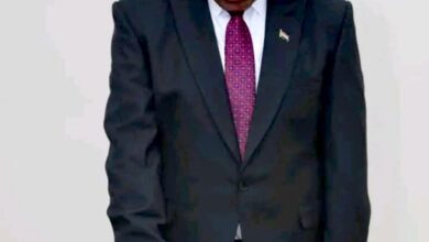 IMG ٢٠٢٥١٢١٨ ٢٠٠٣١٦ 1