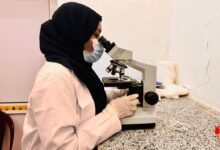 FB IMG 1767780090599