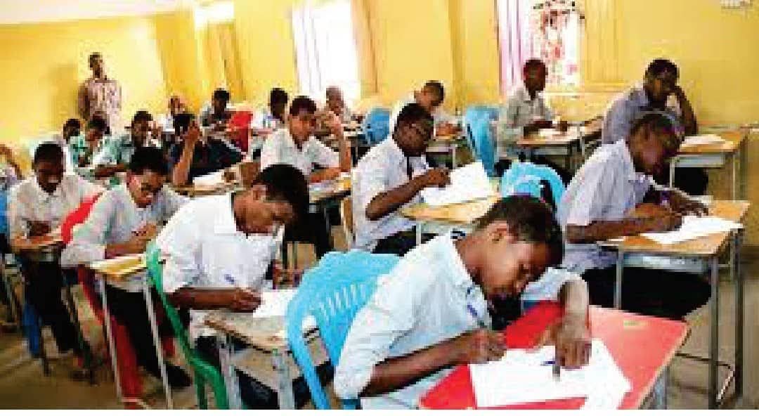 FB IMG 1772378831072