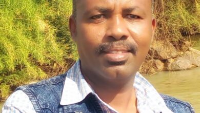 IMG 20250317 WA05571