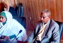 IMG 20260304 WA0210 edit 1310620755216962