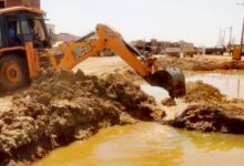 IMG 20260314 WA00321 edit 606490050910932