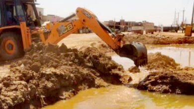 IMG 20260314 WA00321 edit 606490050910932