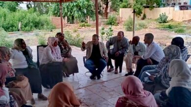 IMG 20260426 WA0095 edit 636004025422642